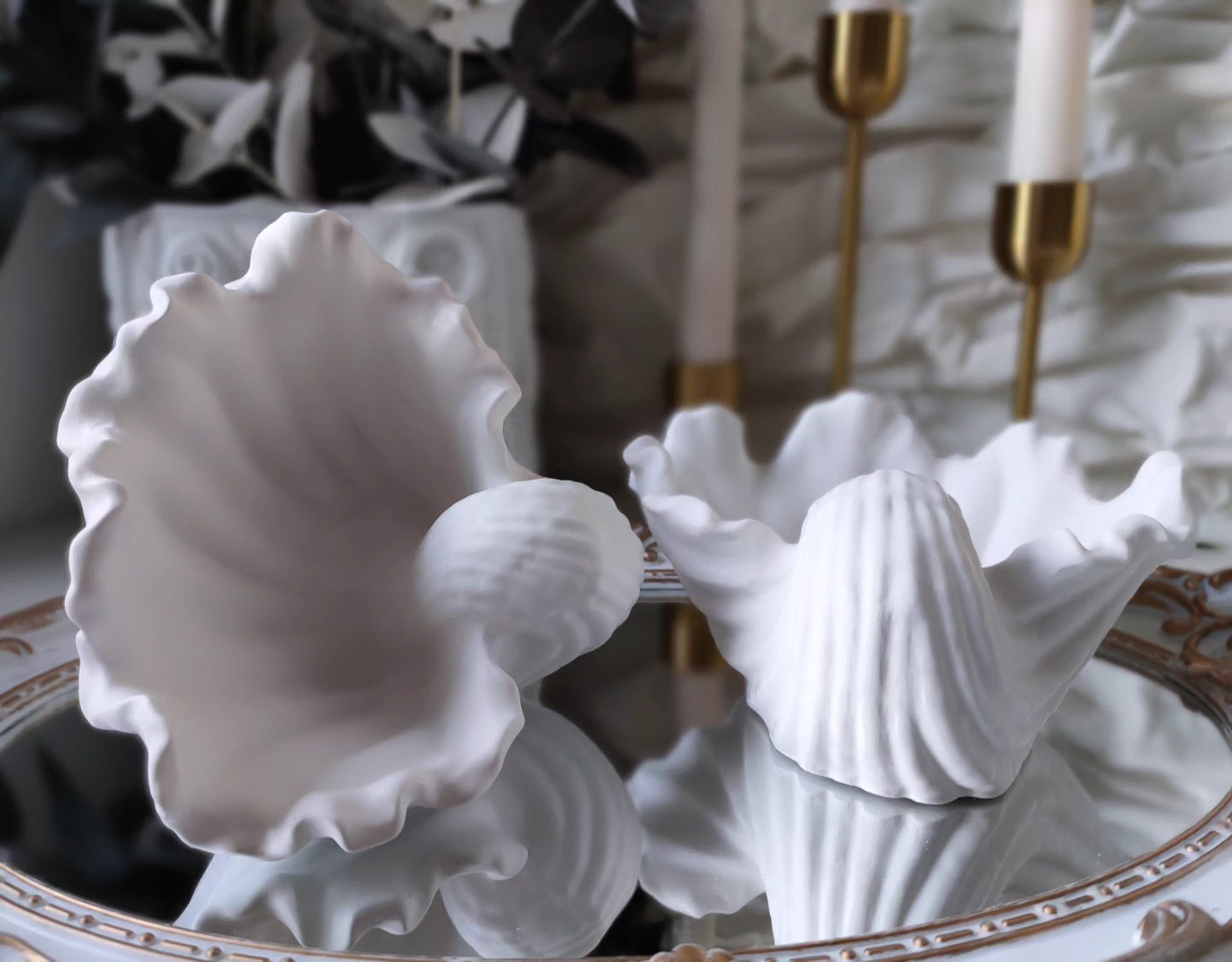 Seashell Trays