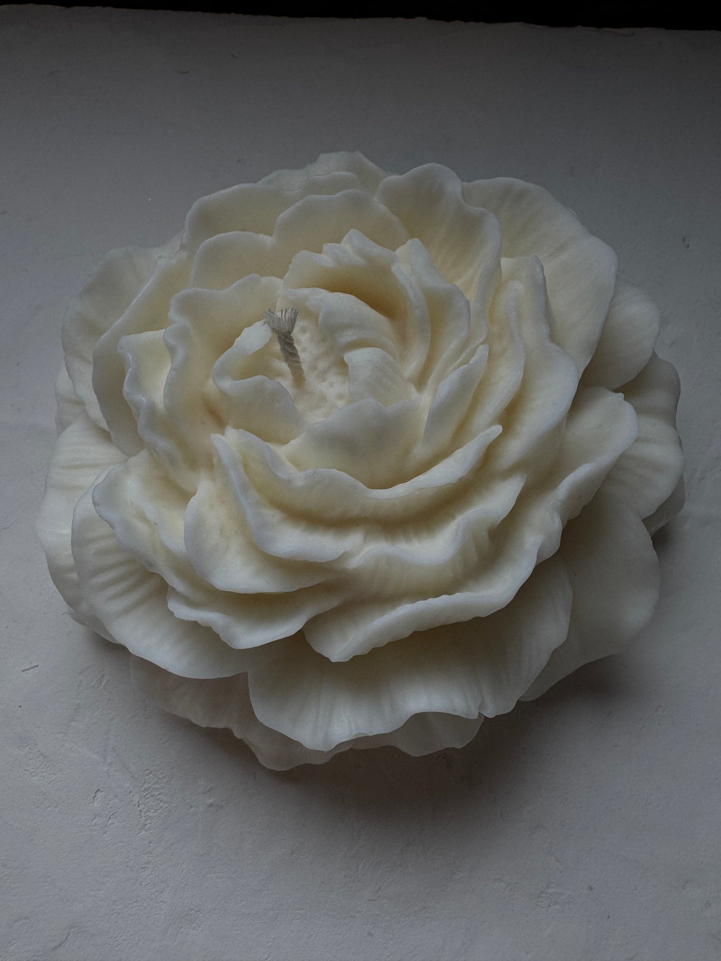 Peony Bloom Candles