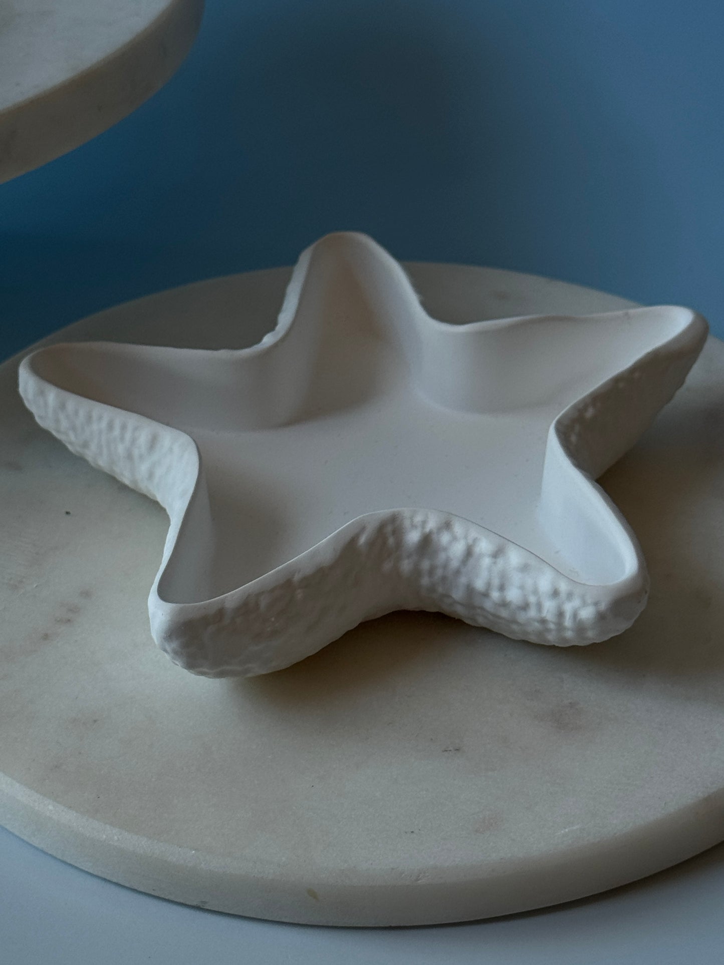 Costal Trays