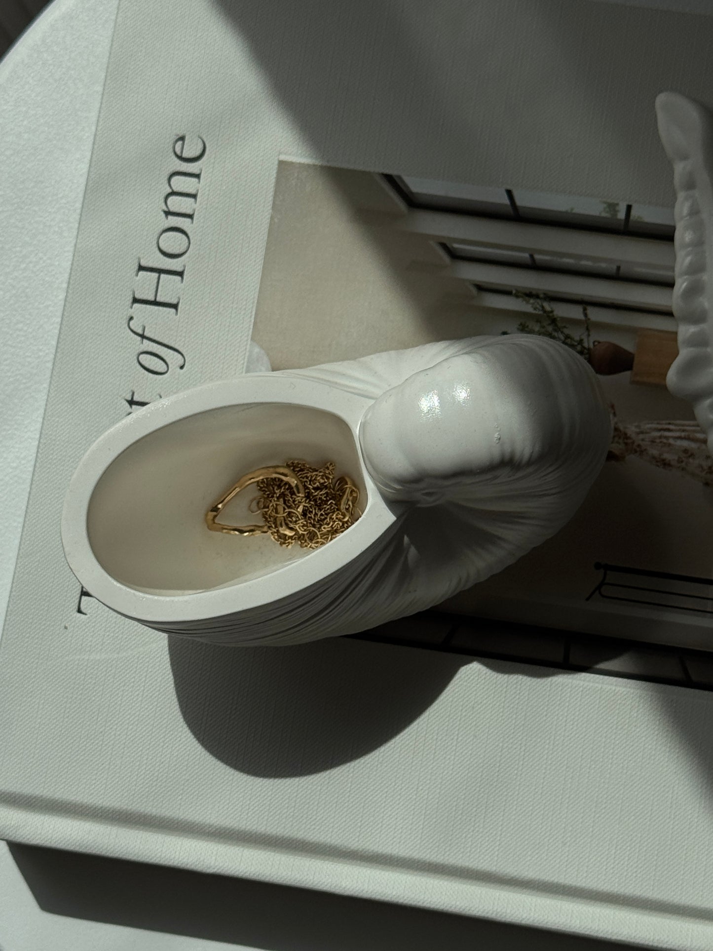 Seashell Trays