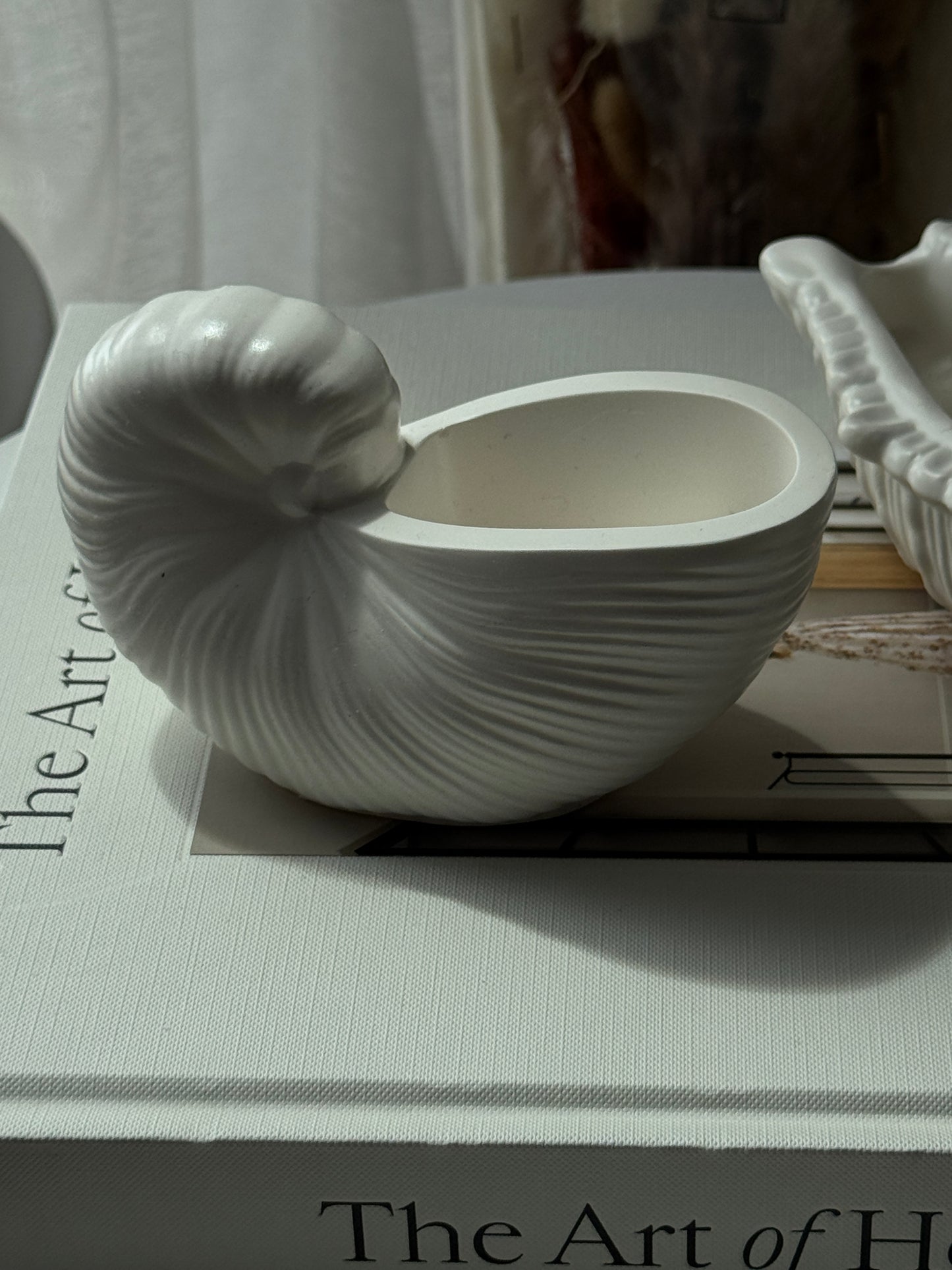 Seashell Trays