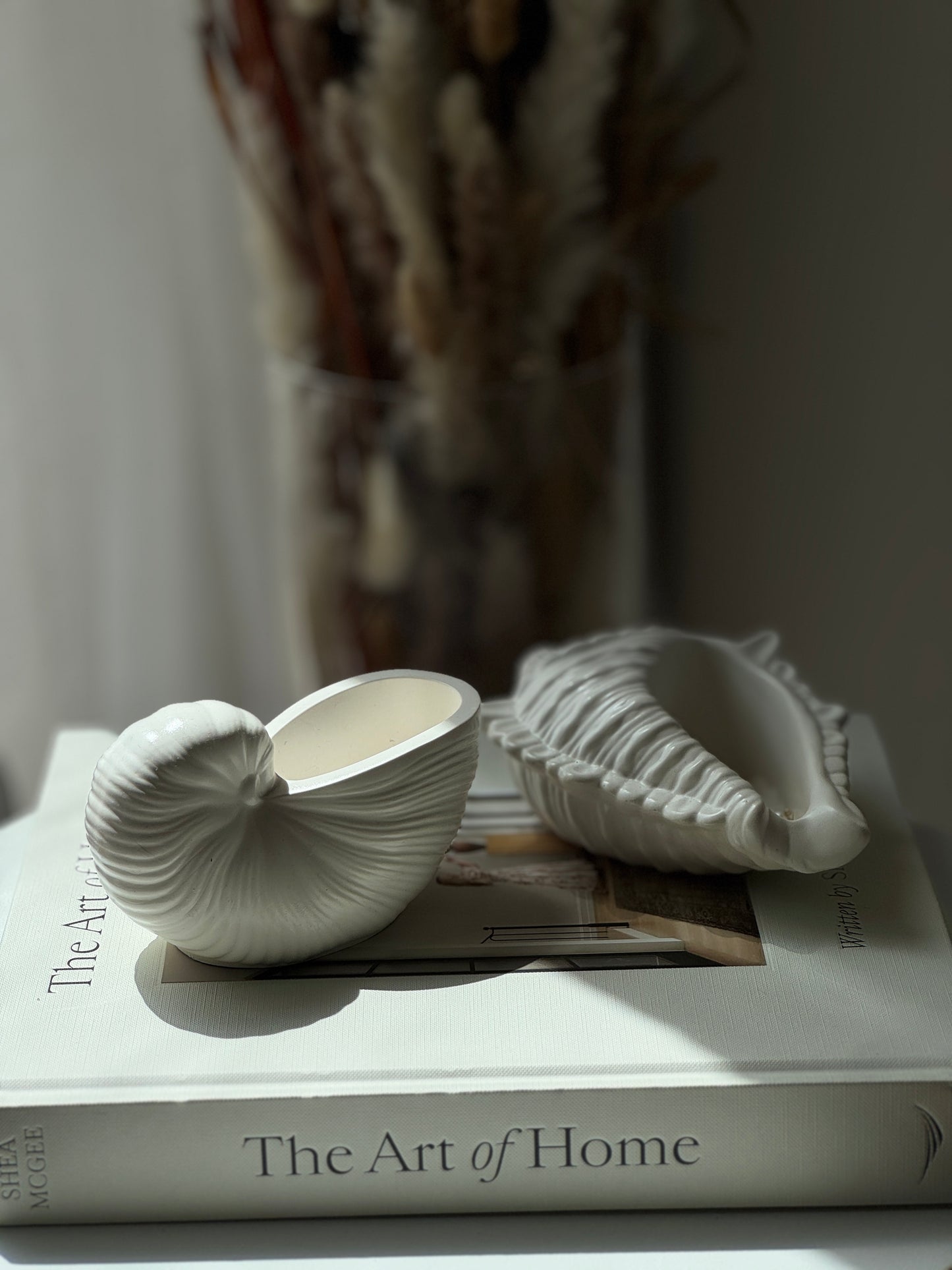 Seashell Trays