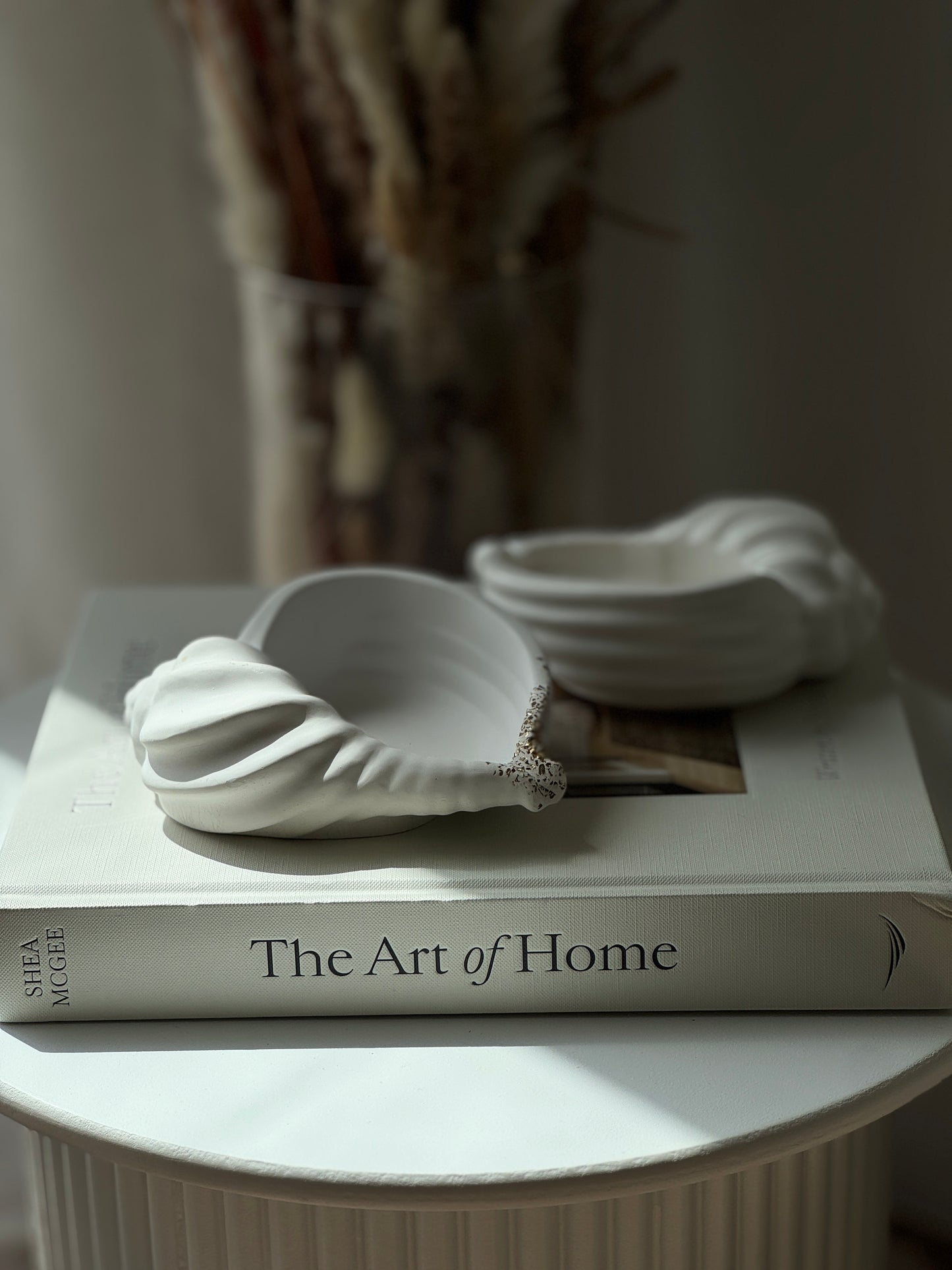 Seashell Trays