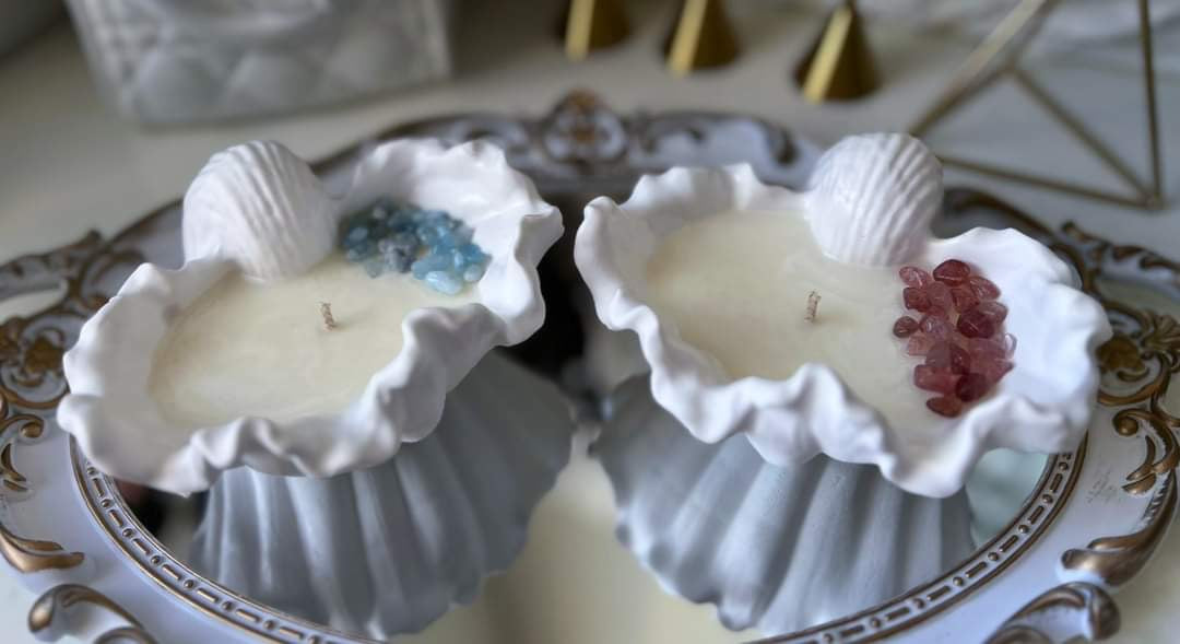 Paradise Shells Candles
