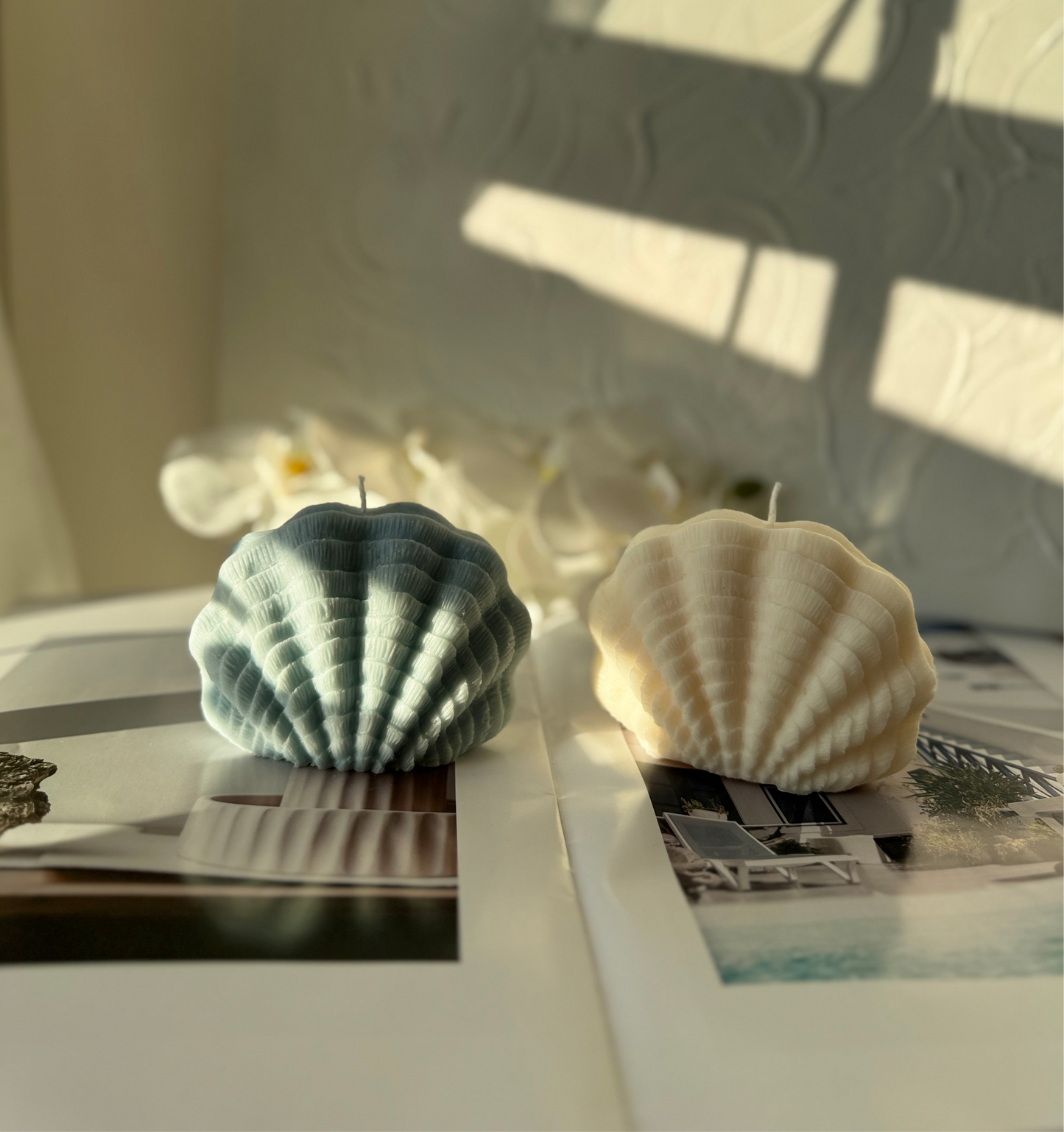 Seaside Whispers | Coastal-Inspired Candle Collection