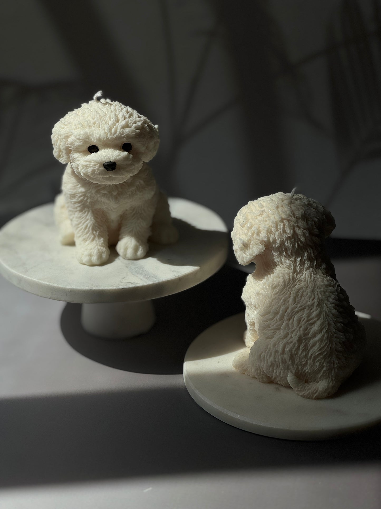 Pet Lovers Collection