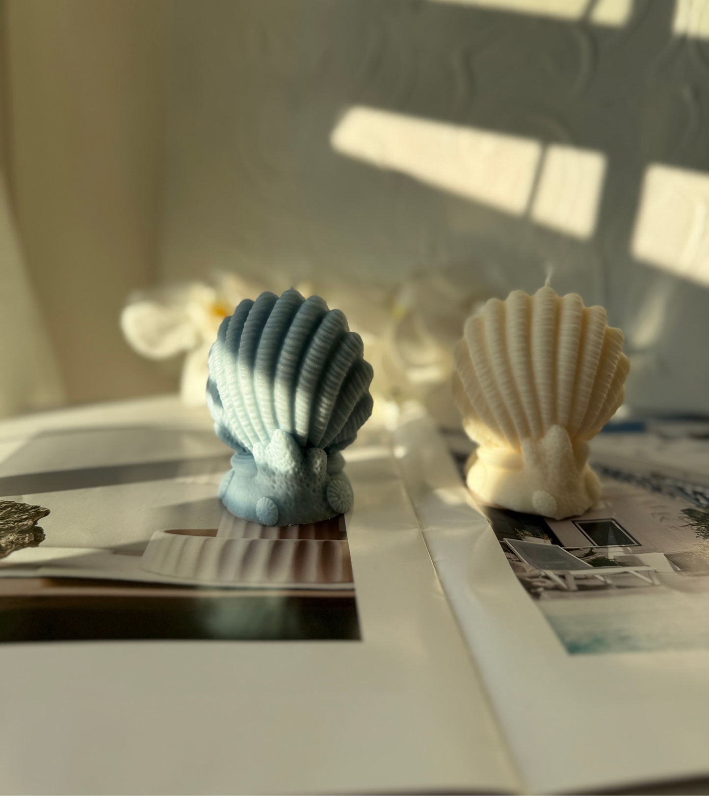 Seaside Whispers | Coastal-Inspired Candle Collection