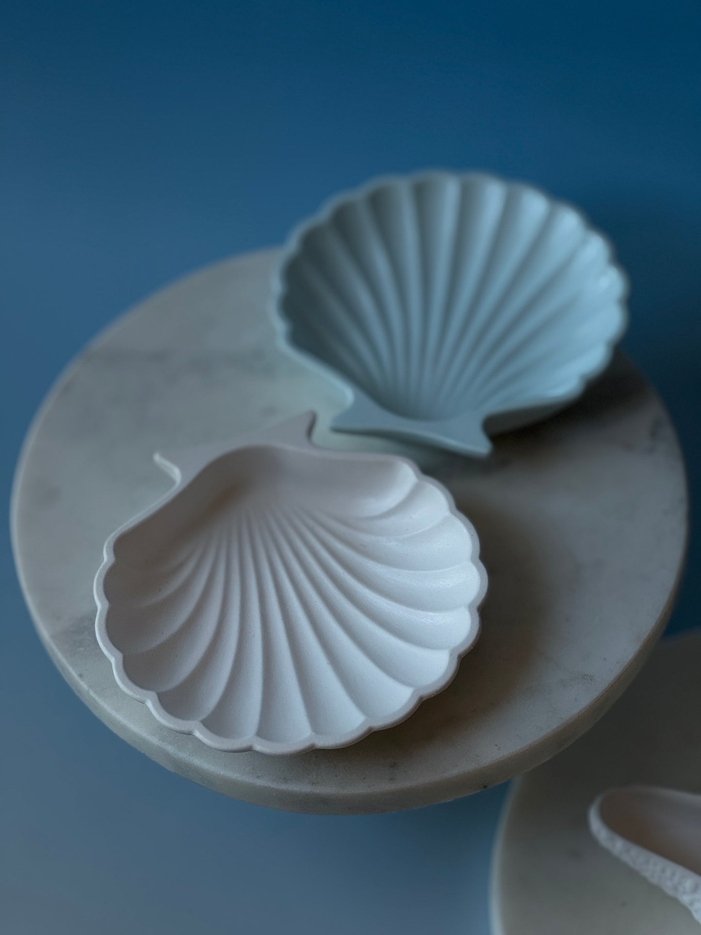 Costal Trays