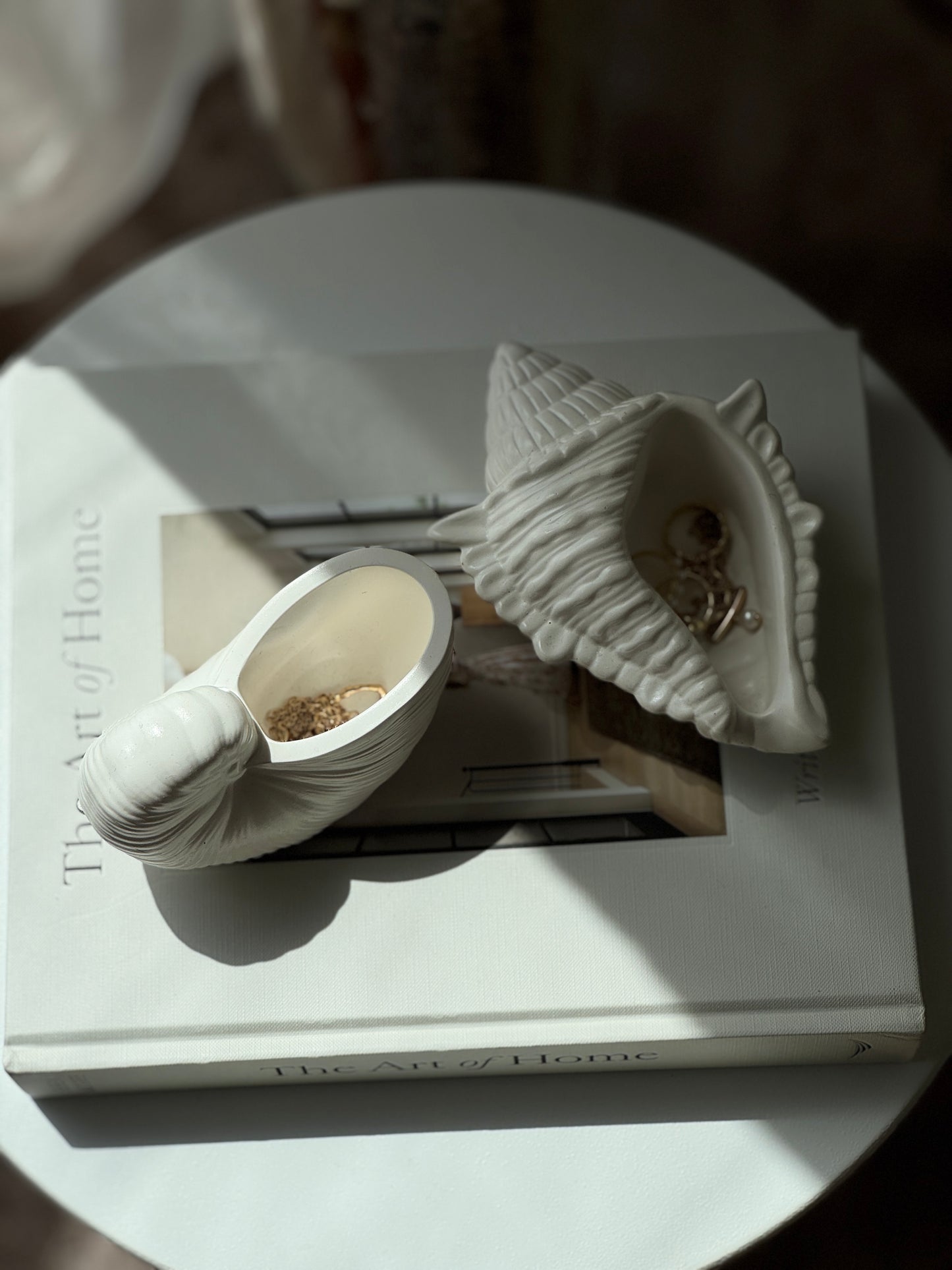 Seashell Trays