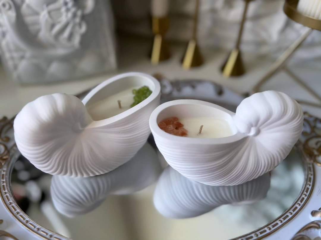 Paradise Shells Candles