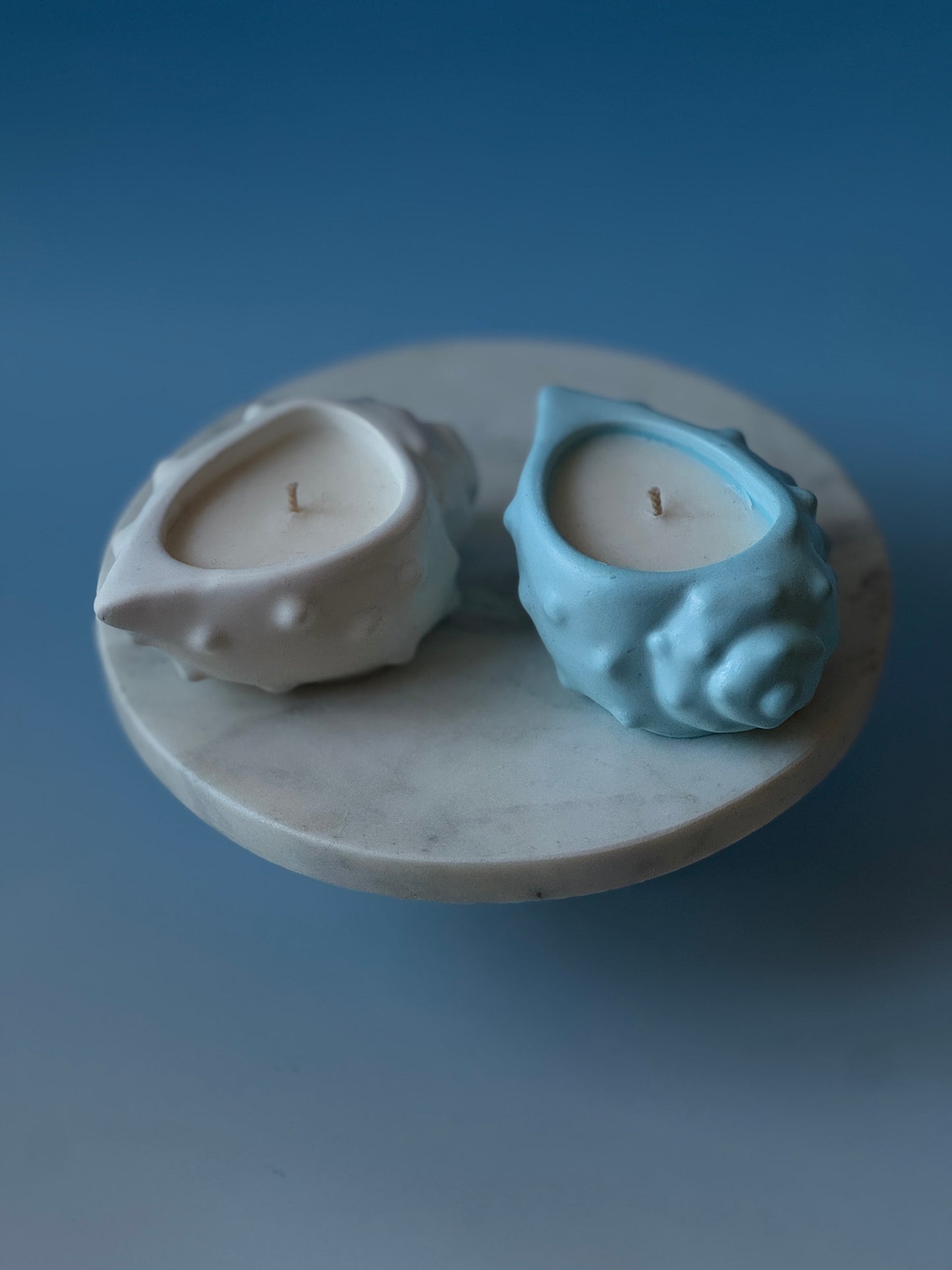 Paradise Beach Candles