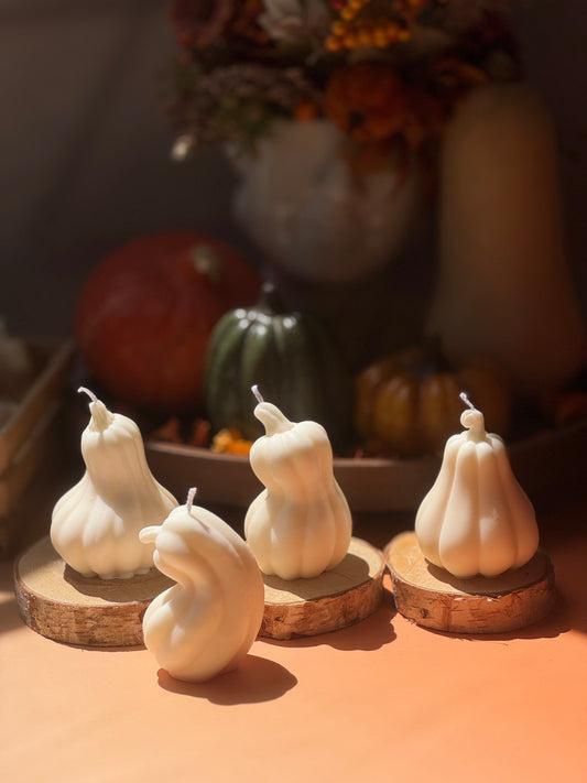 Autumn Harvest | Pumpkin & Gourd Candle Collection