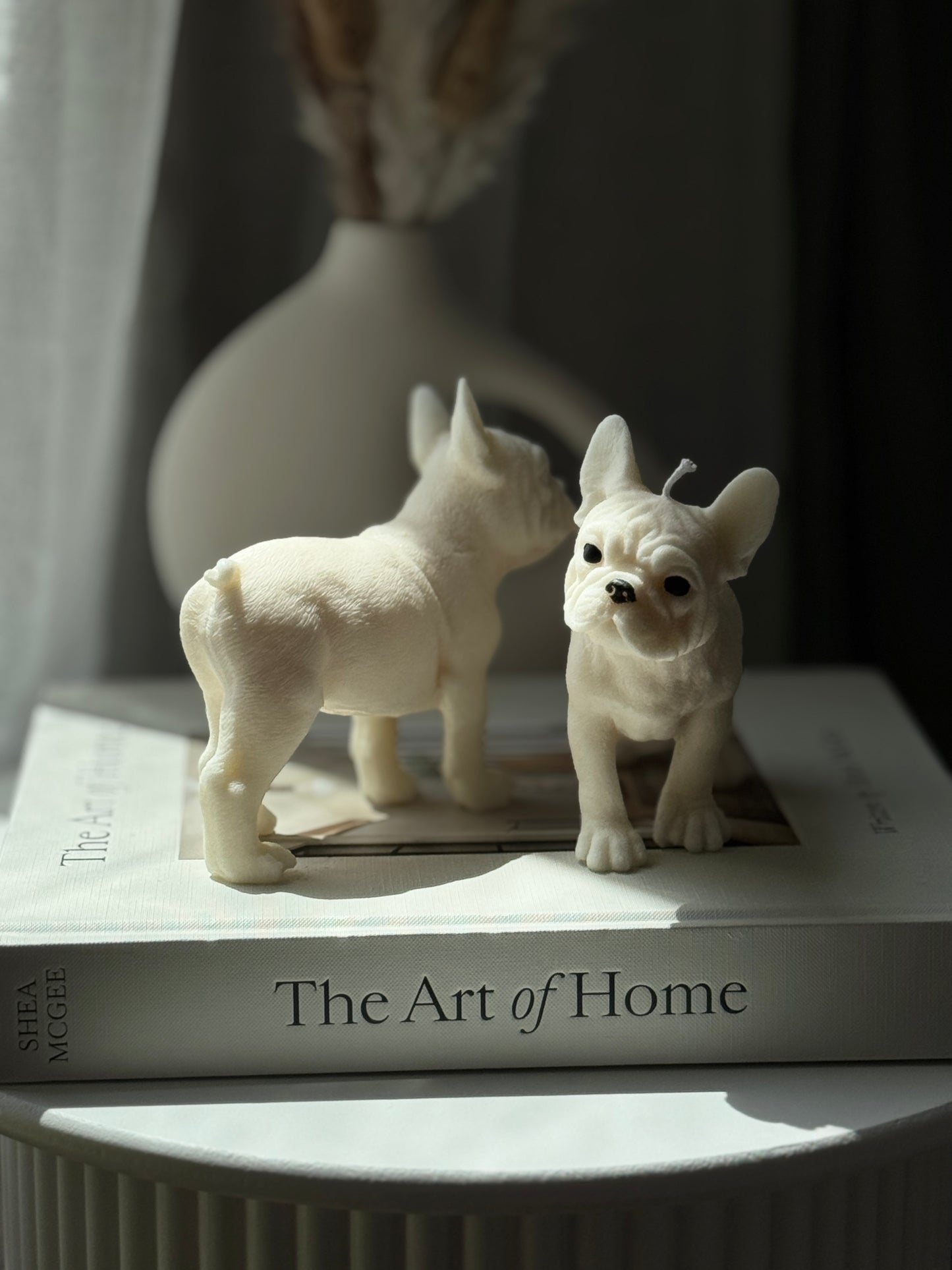 Pet Lovers Collection
