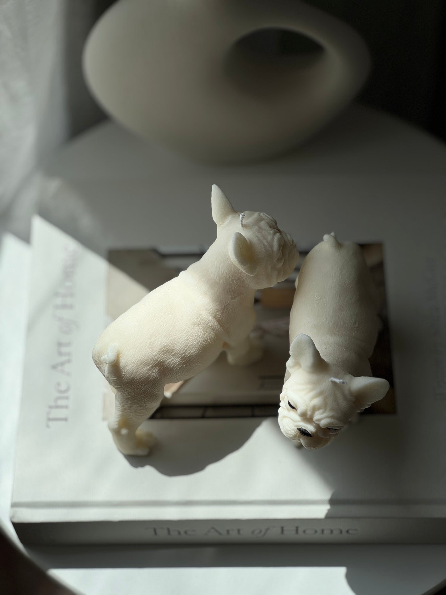 Pet Lovers Collection
