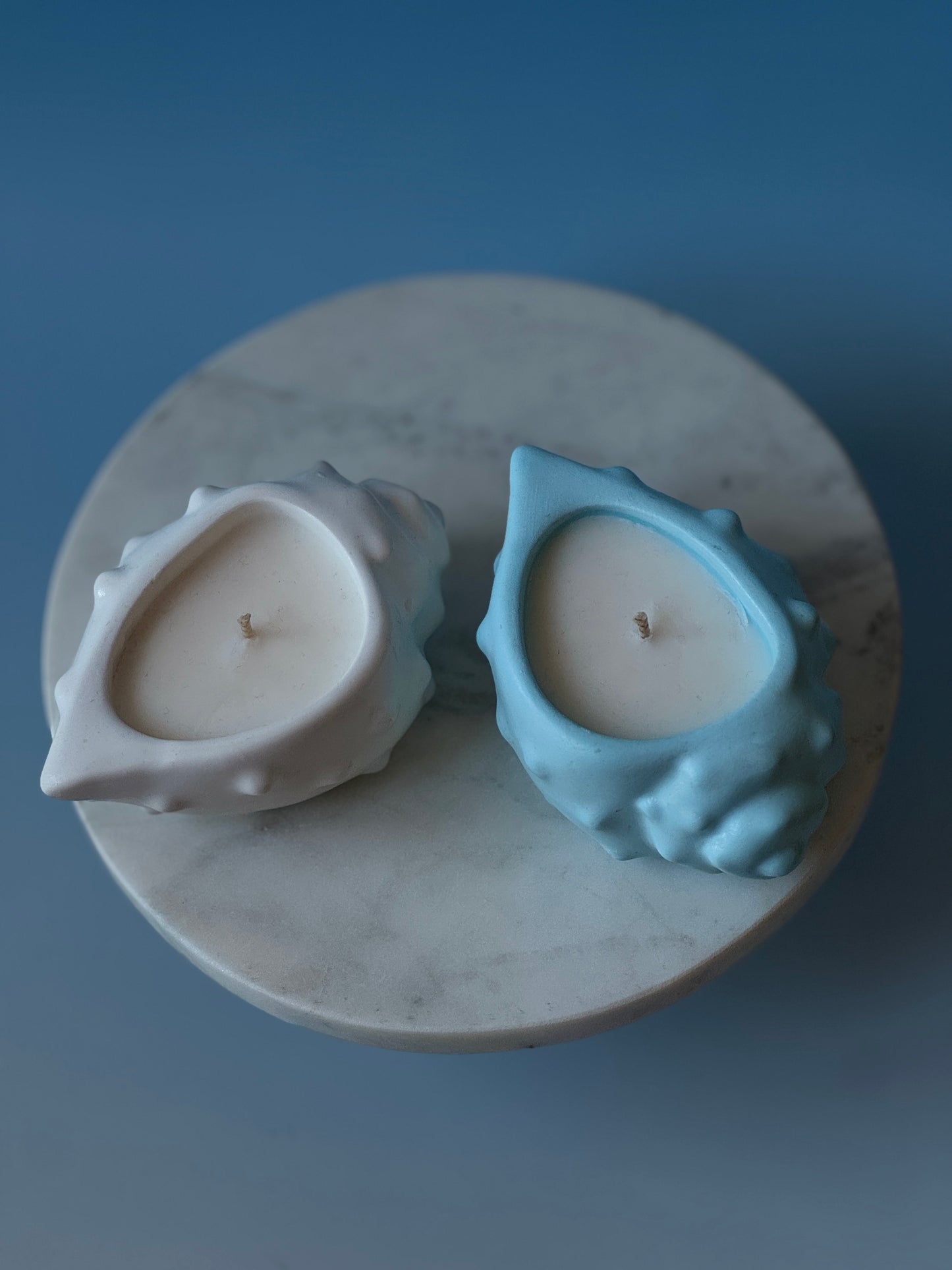 Paradise Beach Candles