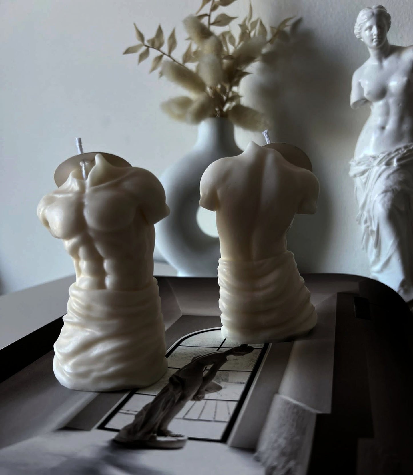 Muse Collection