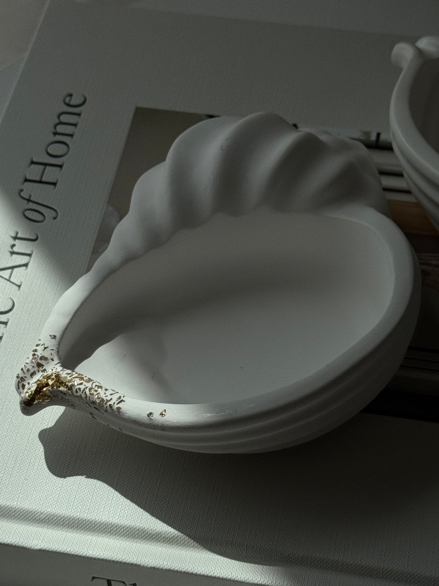 Seashell Trays