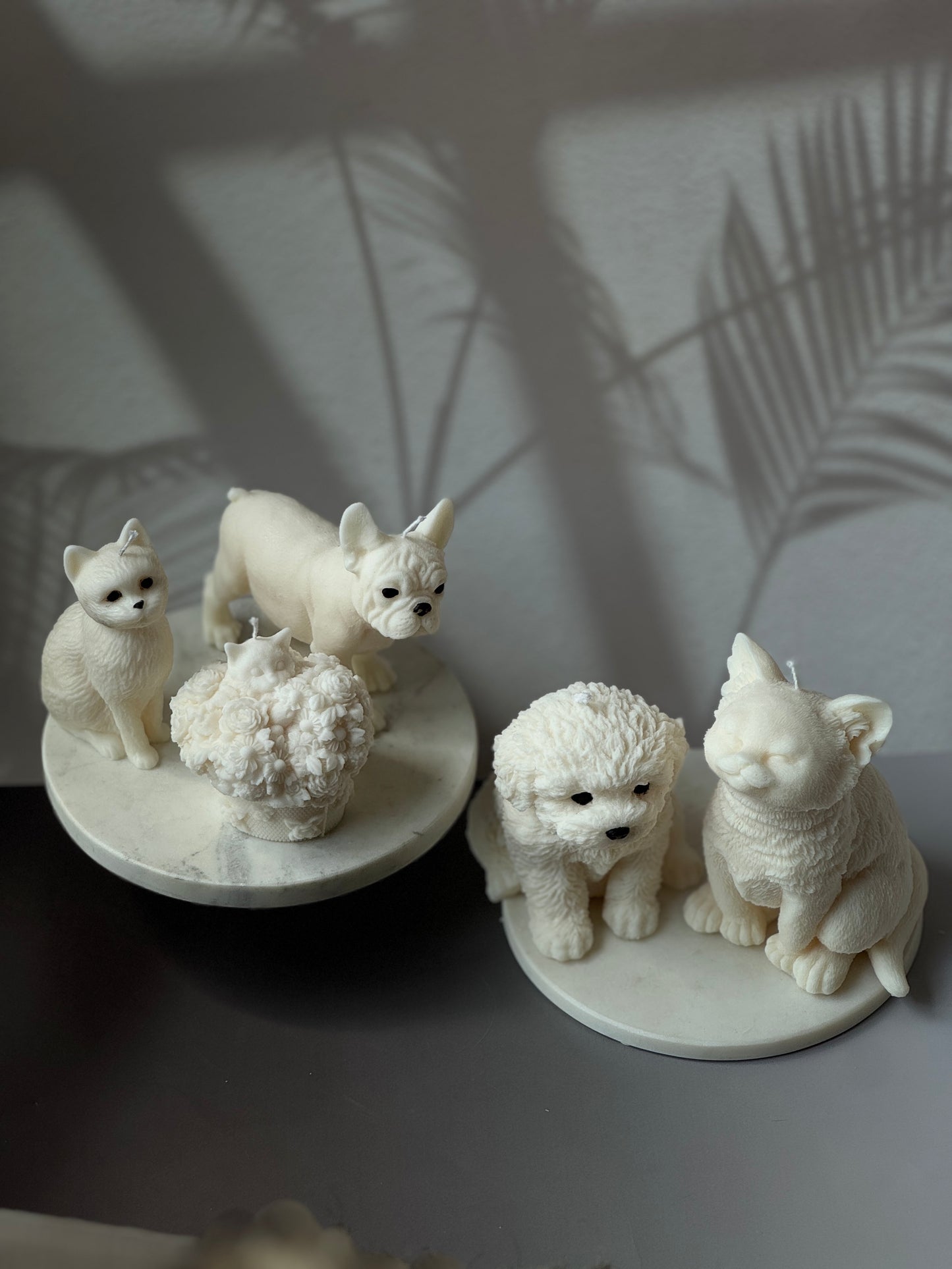 Pet Lovers Collection