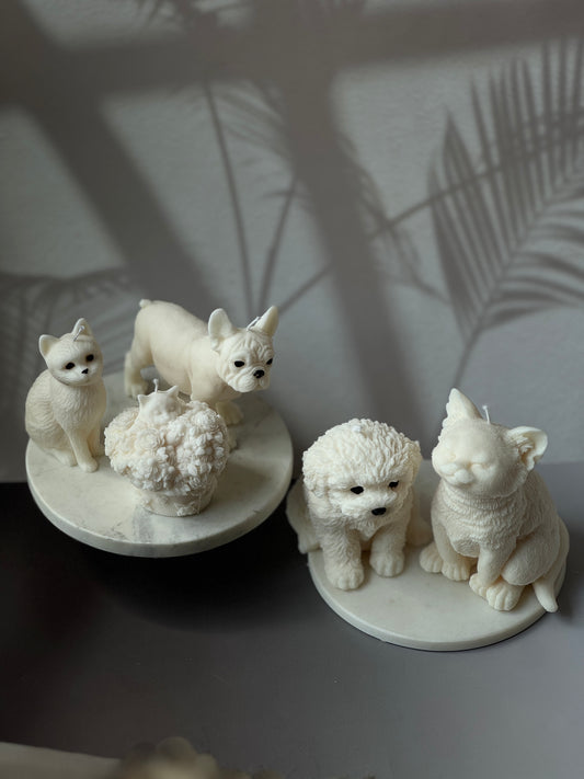 Pet Lovers Collection