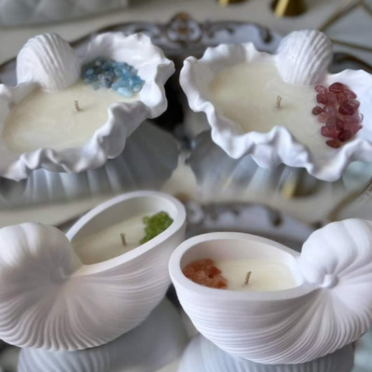 Paradise Shells Candles